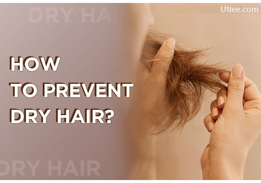 How to prevent dry hair?